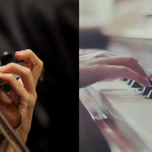 Dos Instrumentos (Válido para familias y lenguaje individual)